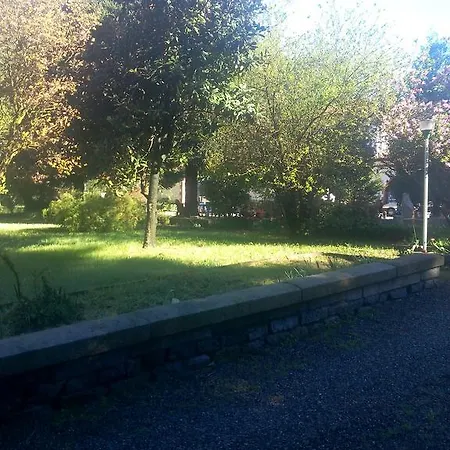 Bosco Gadda
