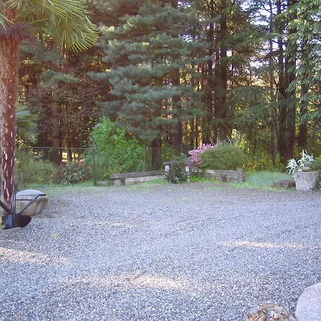 Bosco Gadda